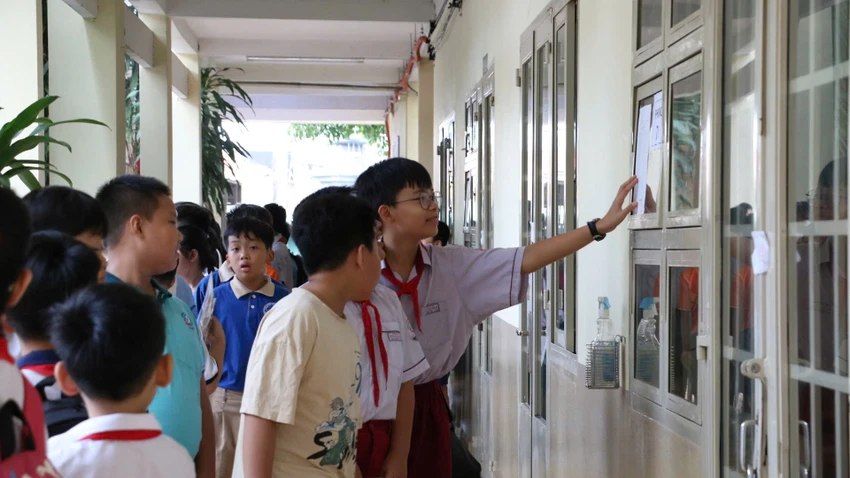 khảo sát vào lớp 6
