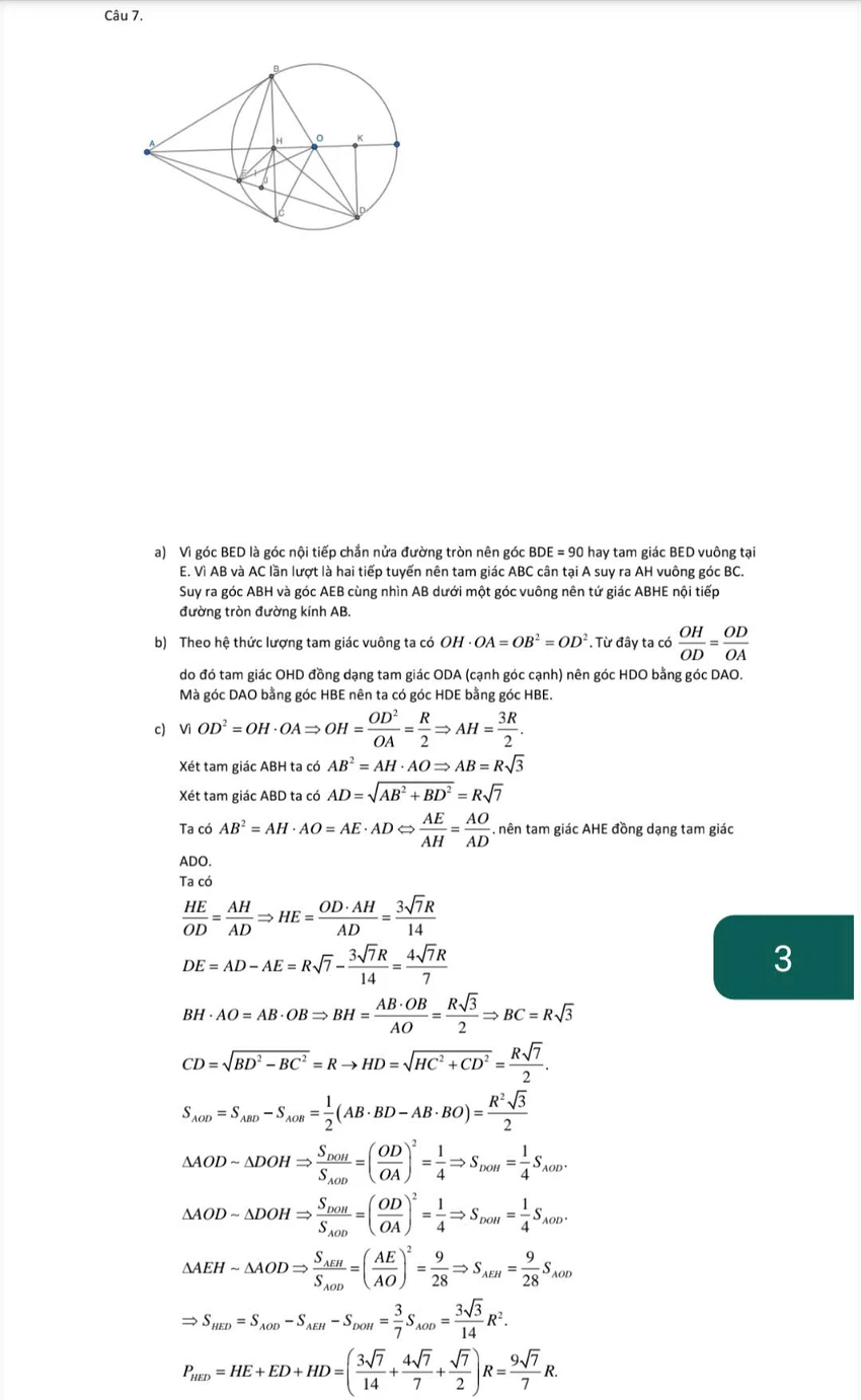 19a0095bc69872c62b89.jpg