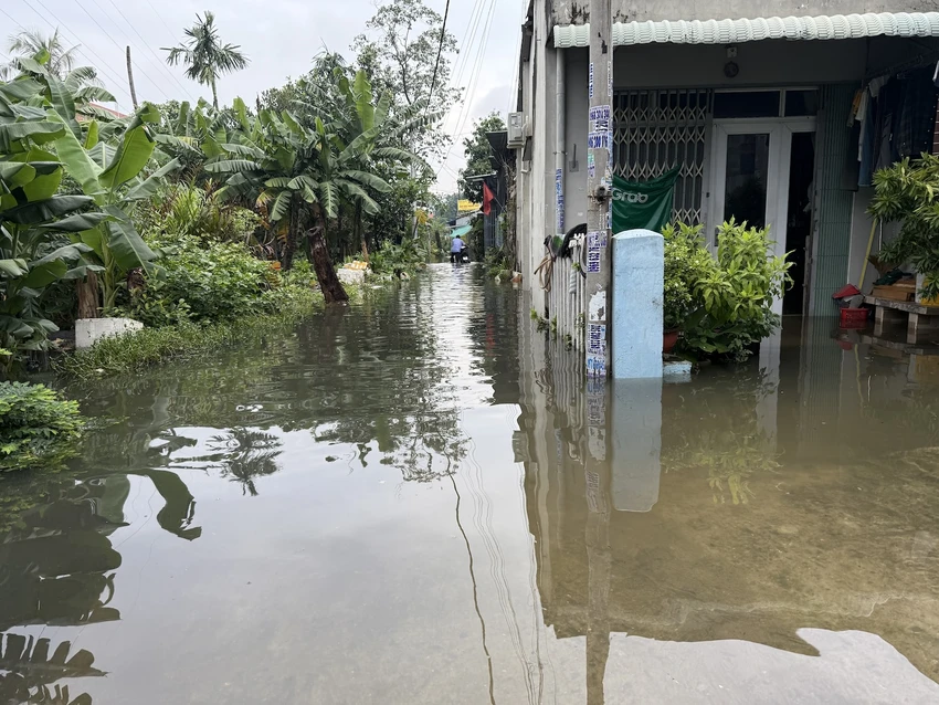 bị ngập