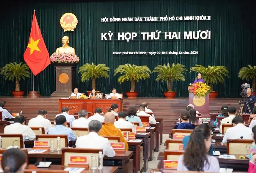 dai-bieu-hdnd-tp.hcm.jpg