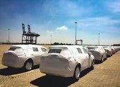 Hàng chục ô tô Nissan mới nhập về bỏ quên không ai nhận