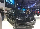 Lý giải nguyên nhân xe nhập khẩu giảm 'tụt dốc'