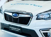 Subaru tặng 2 năm bảo dưỡng miễn phí khi mua xe trong tháng 10