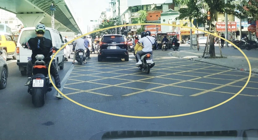 vạch xương cá
