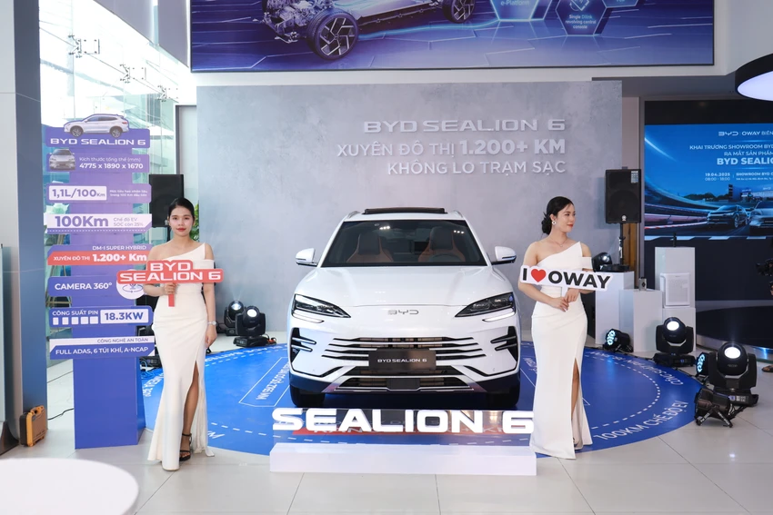 BYD_9666.JPG