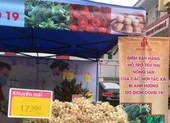 Siêu thị TP.HCM bán nông sản Hải Dương không lợi nhuận