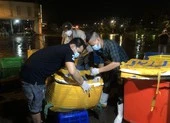 Đêm nay có 150 tấn rau, thịt, cá về điểm tập kết chợ Bình Điền