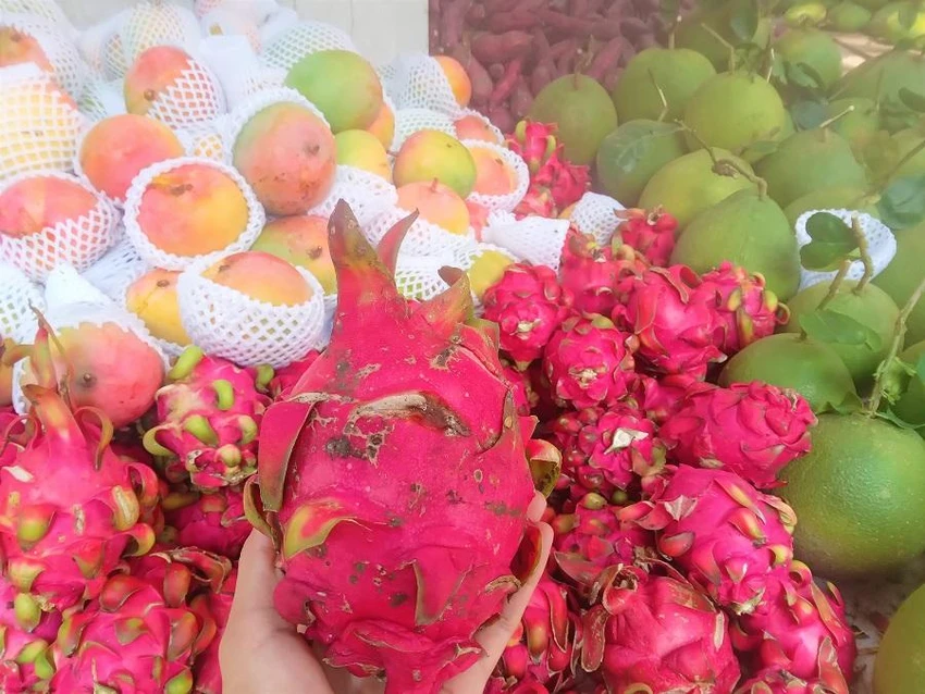 Thanh long ruột đỏ 6.000 đồng/kg được bán ở vỉa hè. ẢNH: TÚ UYÊN Thanh long ruột đỏ 6.000 đồng/kg được bán ở vỉa hè. ẢNH: TÚ UYÊN