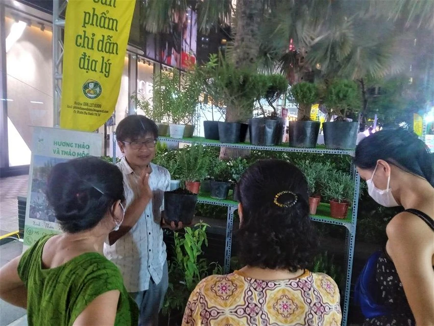 Nhiều người dân quan tâm đến các cây thảo dược có thể làm gia vị. ẢNH: TÚ UYÊN Nhiều người dân quan tâm đến các cây thảo dược có thể làm gia vị. ẢNH: TÚ UYÊN