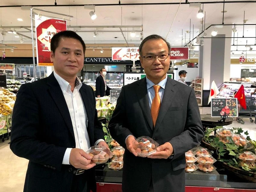 Trái vải thiều Bắc Giang được bày bán ở siêu thị Nhật Bản. ẢNH: V.THỌ