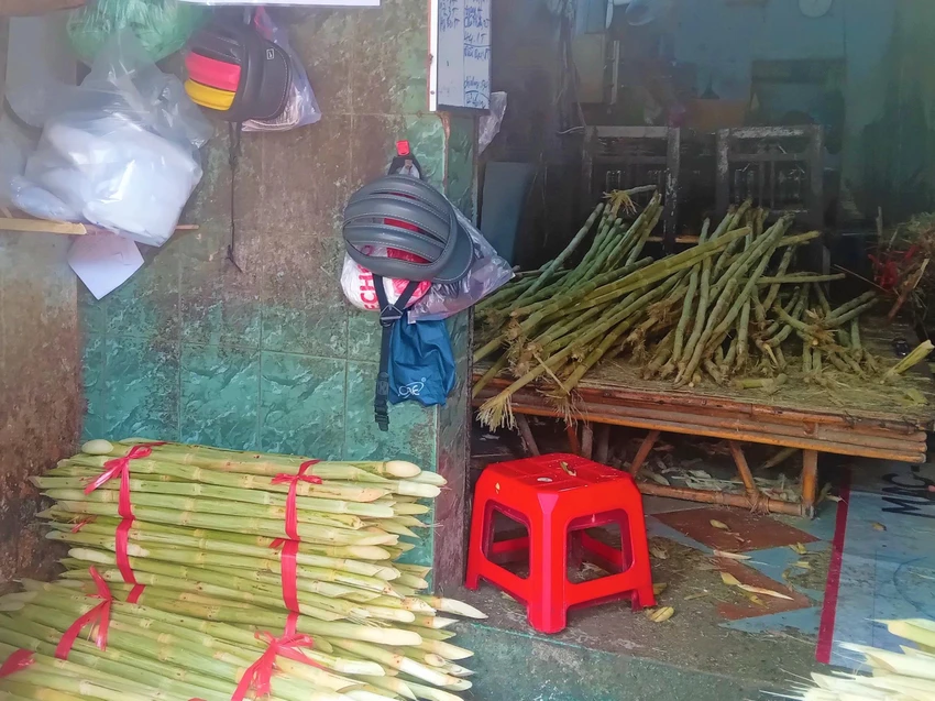 Mía Tây Ninh, Cần Thơ giá 70.000- 80.000 đồng/bó. Mía Tây Ninh, Cần Thơ giá 70.000- 80.000 đồng/bó.