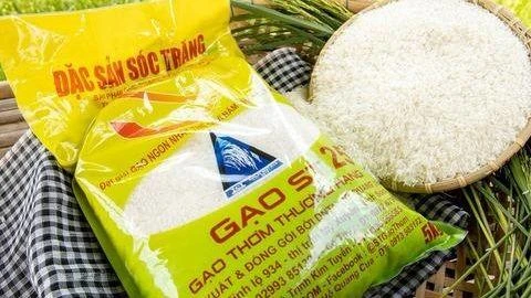 Gạo ST 25 Gạo ST 25