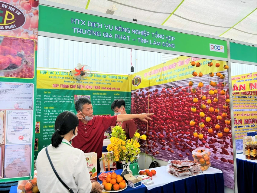 Hợp tác xã giới thiệu với khách hàng hồng treo sản xuất theo công nghệ Nhật Bản Hợp tác xã giới thiệu với khách hàng hồng treo sản xuất theo công nghệ Nhật Bản