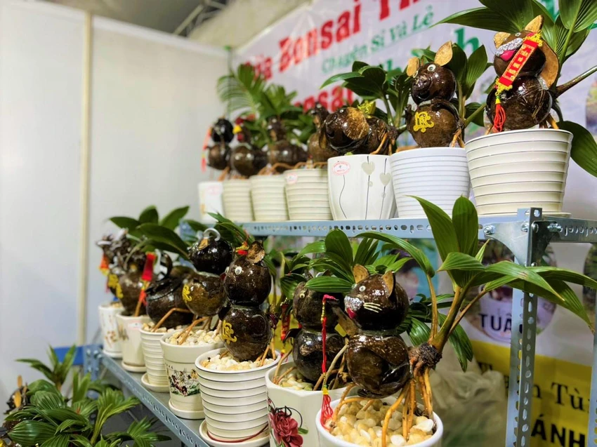 12 con giáp với giá bình quân 500.000 đồng/chậu 12 con giáp với giá bình quân 500.000 đồng/chậu