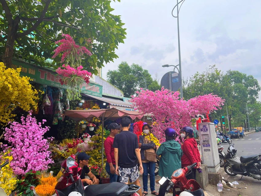 Người dân đang quan tâm giá cây hoa đào đang trưng bày tại một cửa hàng ở quận 5.