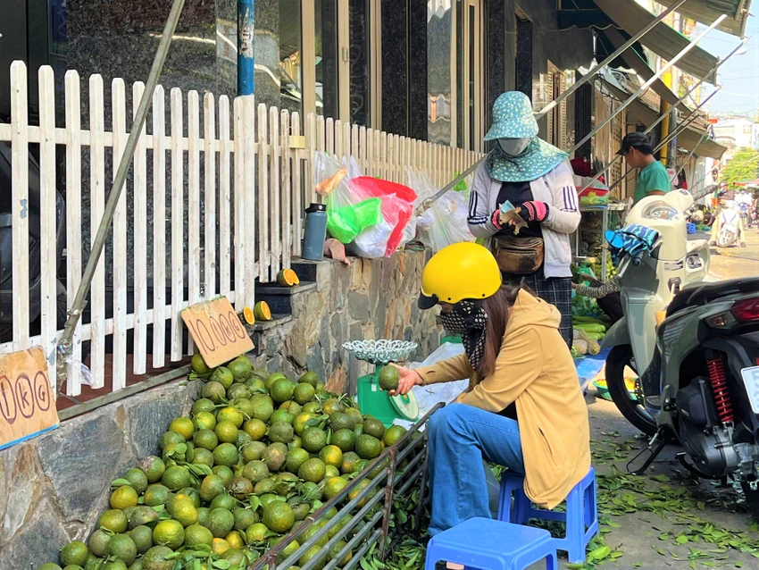 Cam được bày bán giá 8.000 - 10.000 đồng/kg. Cam được bày bán giá 8.000 - 10.000 đồng/kg.