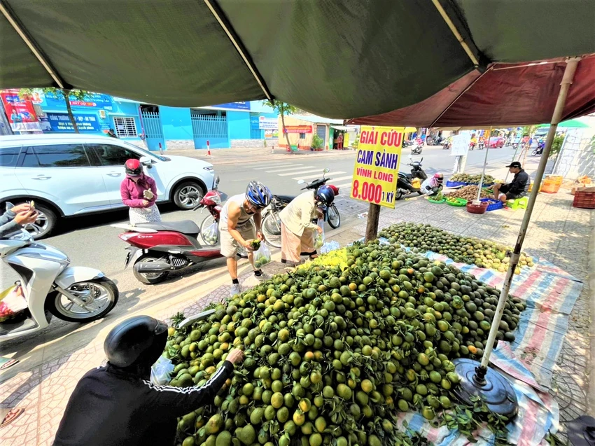 Nhiều người dân ghé điểm bán giải cứu cam sành.