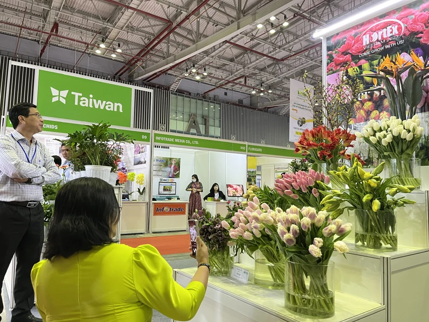 Khách tham "tự sướng" với hoa tulip biểu tượng hoa của đất nước Hà Lan Khách tham "tự sướng" với hoa tulip biểu tượng hoa của đất nước Hà Lan