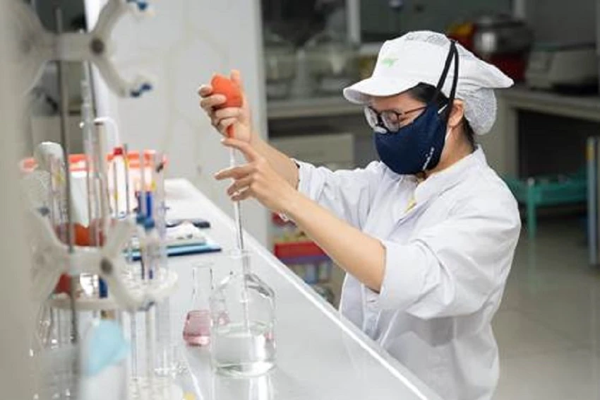 Năm 2019 Vinasoy phát triển thành công hai giống đậu nành mới và được Bộ NN&PTNT cấp bằng bảo hộ Năm 2019 Vinasoy phát triển thành công hai giống đậu nành mới và được Bộ NN&PTNT cấp bằng bảo hộ