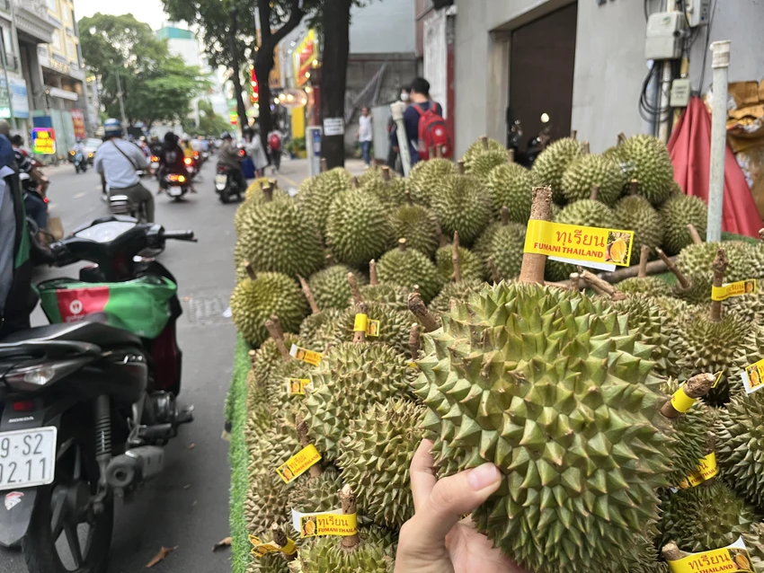 Sầu riêng Thái Lan giá 180.000 đồng/kg đang đứt lứa. ẢNH: TÚ UYÊN Sầu riêng Thái Lan giá 180.000 đồng/kg đang đứt lứa. ẢNH: TÚ UYÊN
