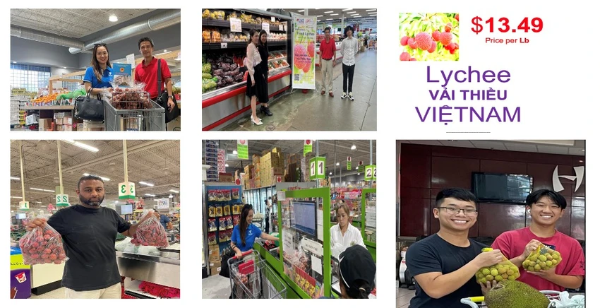 Vải thiều tươi Việt Nam đã được bày bán ở các chợ Châu Á, siêu thị lớn tại TP Houston. ẢNH: Bộ Công Thương Vải thiều tươi Việt Nam đã được bày bán ở các chợ Châu Á, siêu thị lớn tại TP Houston. ẢNH: Bộ Công Thương