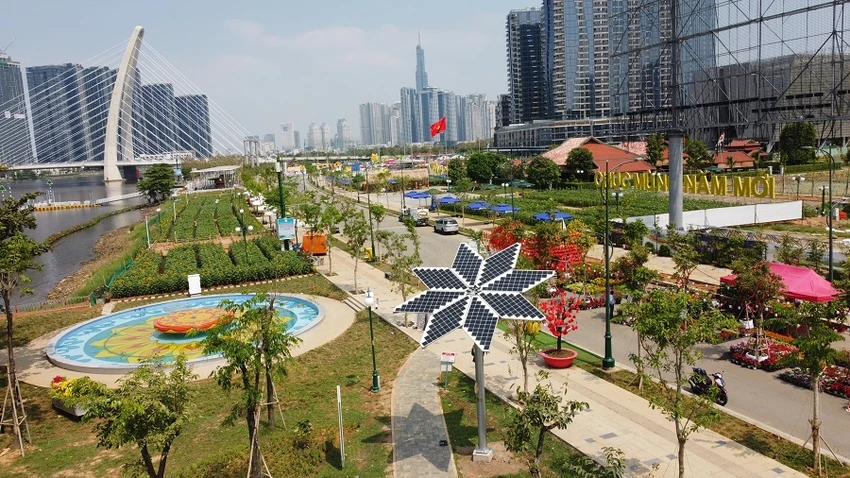 cay-hoa-huong-duong-khanh-thanh.jpg