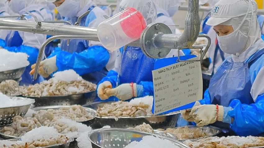 điều tra