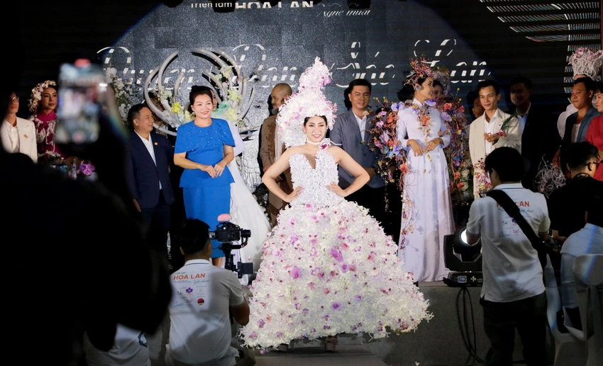 lan hồ điệp