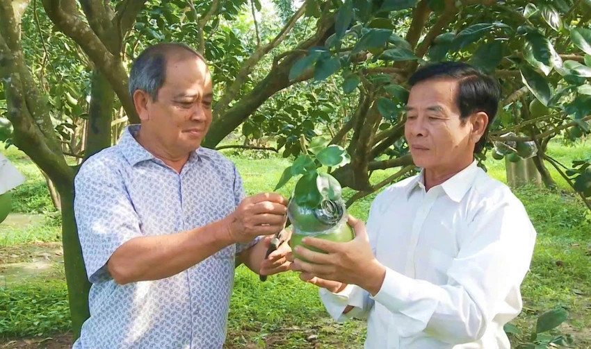 trái cây độc lạ