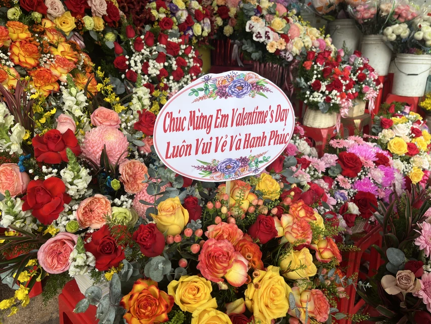 100 hoa hồng