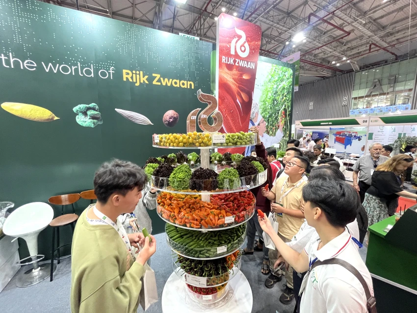 trái cây và rau quả