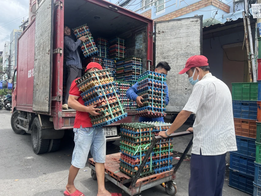 trứng gia cầm