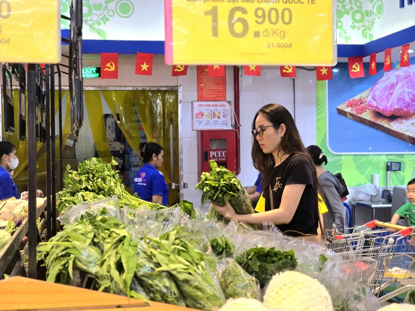 ứng phó bão số 10