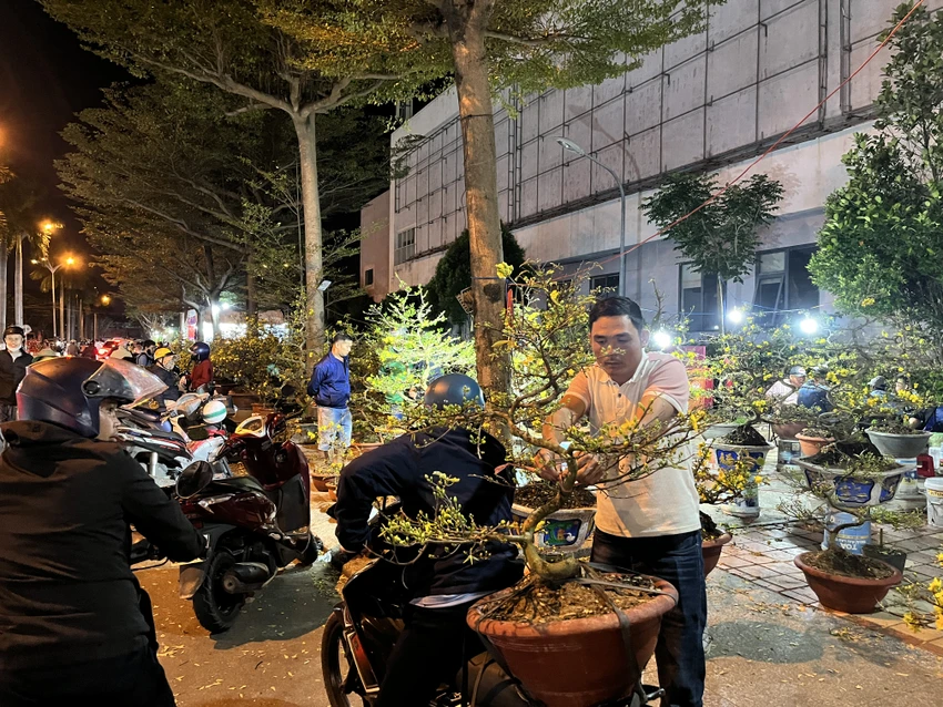 cúc mâm xôi Hàn Quốc 1.JPG