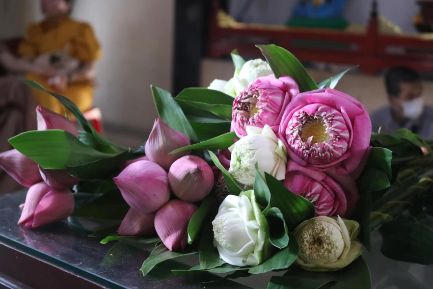 Những đóa hoa sen tinh khiết là vật phẩm không thể thiếu để dâng lên Phật trong những ngày này.