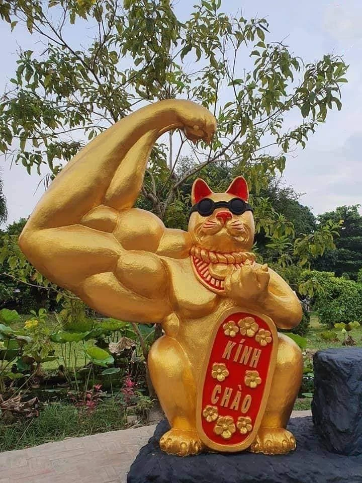 Chú mèo hài hước, cơ bắp đến từ Bến Tre. Chú mèo hài hước, cơ bắp đến từ Bến Tre.