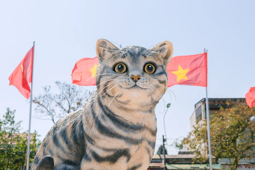 Với dáng hình dễ thương, đôi mắt to tròn long lanh,.. dân mạng cho rằng đây chính là "hoa hậu mèo" trong Tết Nguyên đán năm Quý Mão 2023. Ảnh: Minh Hùng Với dáng hình dễ thương, đôi mắt to tròn long lanh,.. dân mạng cho rằng đây chính là "hoa hậu mèo" trong Tết Nguyên đán năm Quý Mão 2023. Ảnh: Minh Hùng