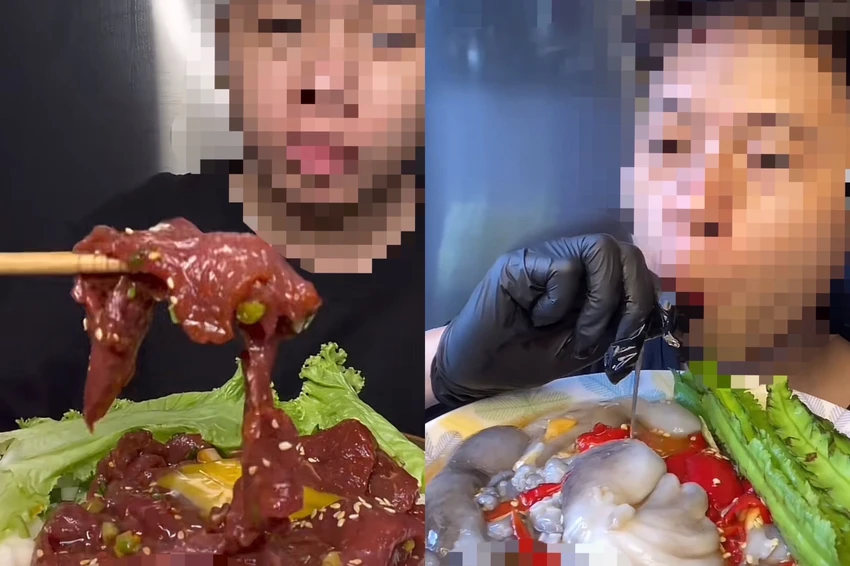 Video ăn thịt bò sống, trứng sống, bạch tuộc sống thu hút triệu lượt xem của chủ kênh SK. Ảnh: Chụp màn hình Video ăn thịt bò sống, trứng sống, bạch tuộc sống thu hút triệu lượt xem của chủ kênh SK. Ảnh: Chụp màn hình