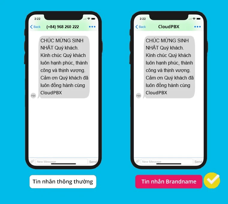 Bo-Cong-an-canh-bao-lua-dao-qua-tin-nhan-SMS-Brandname-1.jpg