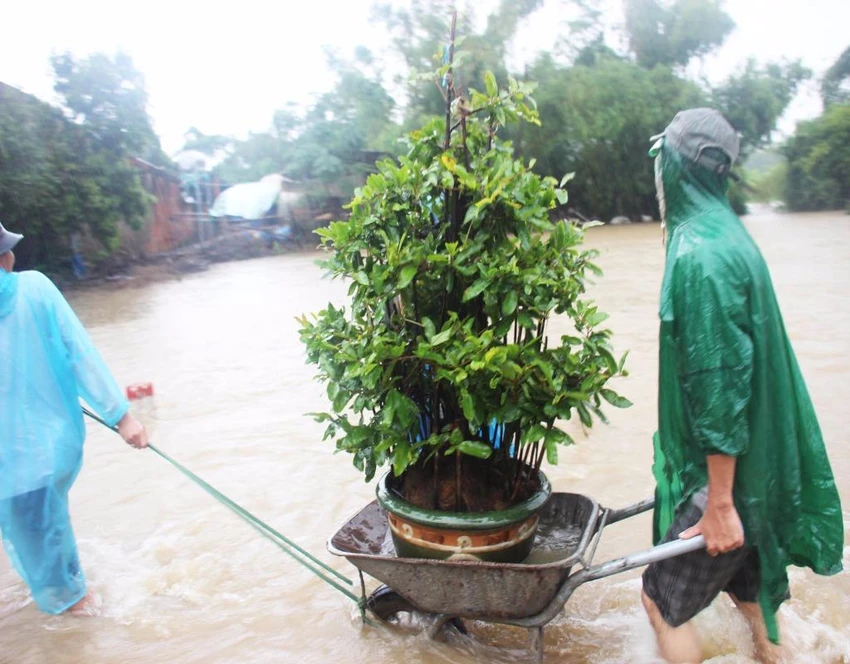 đợt lũ thứ tư ở bình định