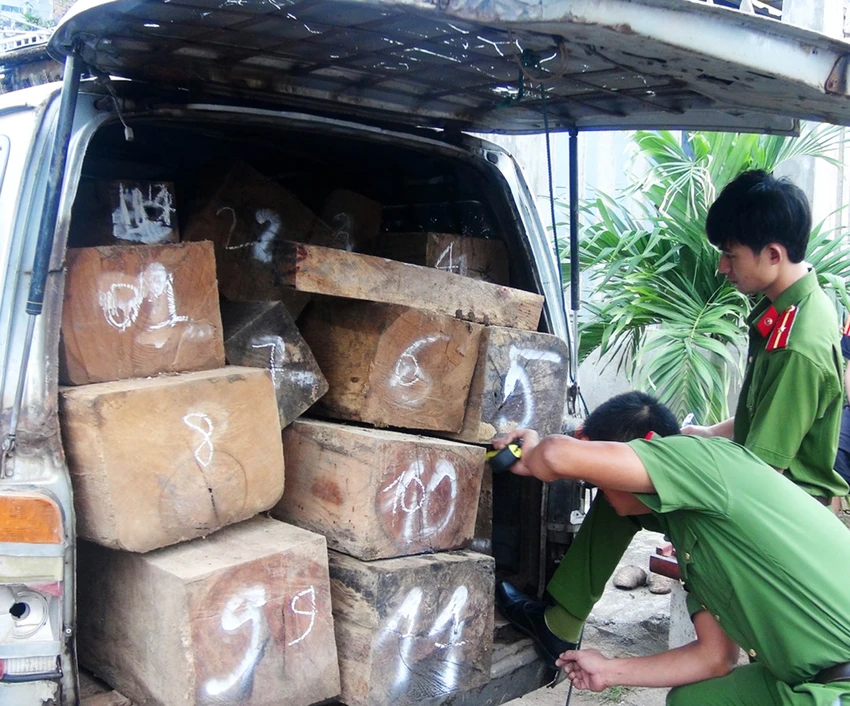 Lực lượng chức năng kiểm đếm gỗ vận chuyển trái phép trên chiếc xe lao vào gác chắn. Ảnh: CTV