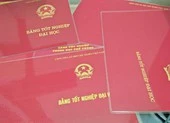 Đồng Nai: 1 chủ tịch phường có bằng Đại học trước bằng cấp 3
