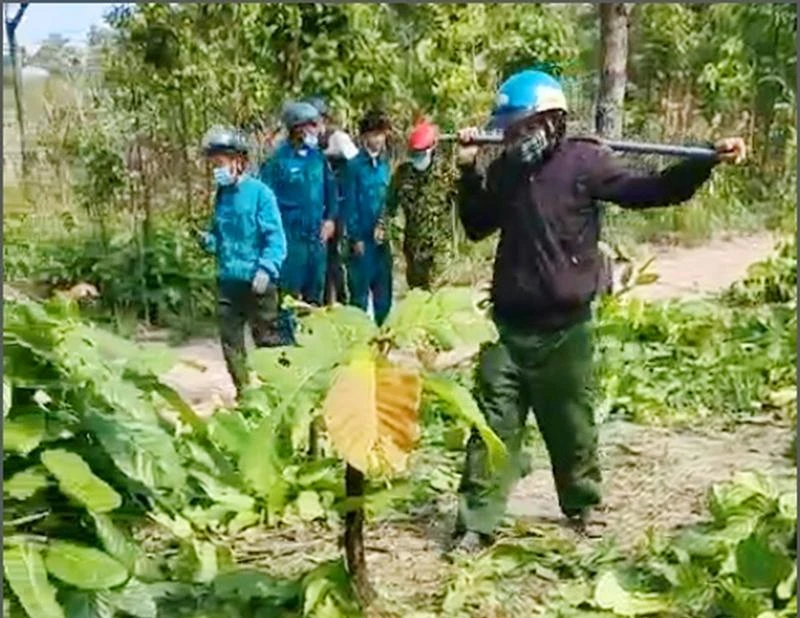 Khu vực phát dọn rừng bị phát hiện. Ảnh: CTV Khu vực phát dọn rừng bị phát hiện. Ảnh: CTV