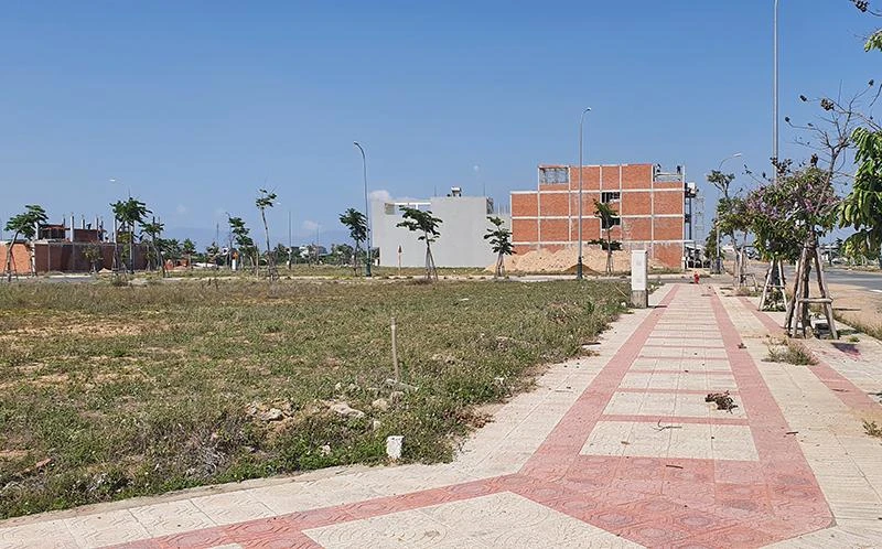 Khu vực 262 lô đất được đưa ra bán đấu giá. Ảnh: TẤN LỘC Khu vực 262 lô đất được đưa ra bán đấu giá. Ảnh: TẤN LỘC