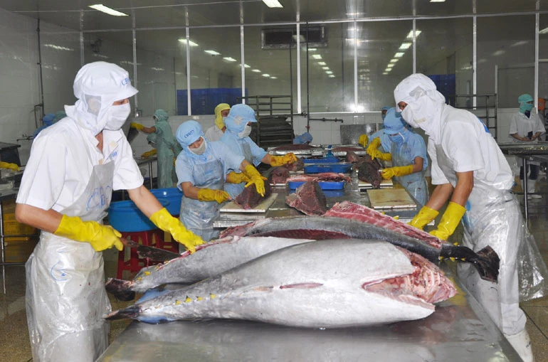 Công nhân chế biến thủy sản ở Phú Yên. Ảnh: PYO