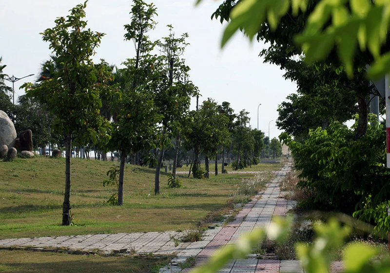 cay-xanh-cong-minh.jpg