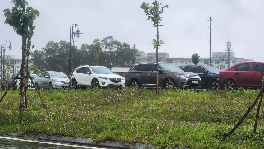 Người dân đưa ô tô đi tránh ngập lụt. Ảnh: NGUYỄN DO