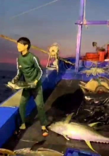 đồi mồi
