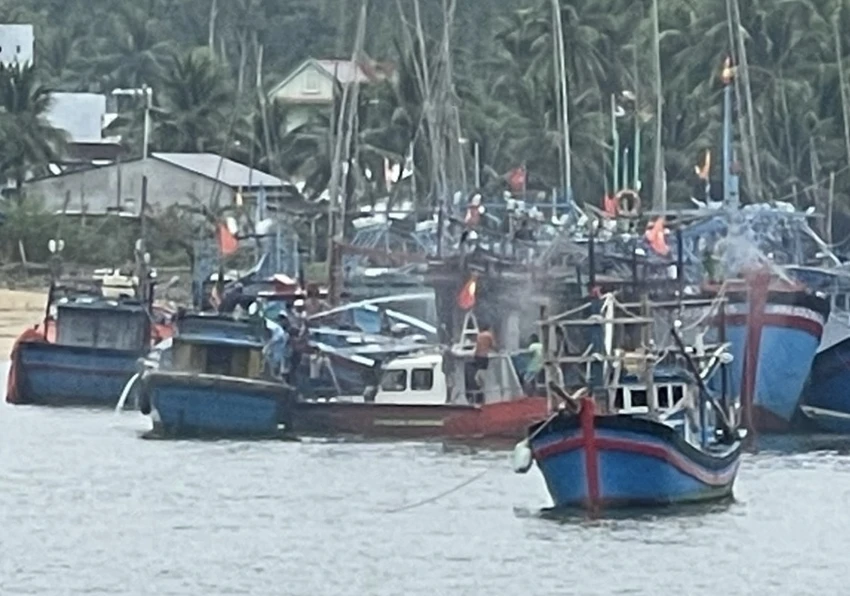 tàu cá