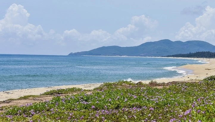 mất tích